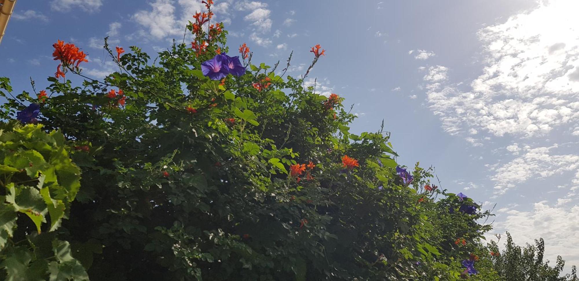 Apartmán Superbe T2 Avec Jardin, Piscine-Enfant Et Parking Arles Exteriér fotografie
